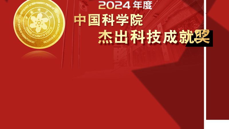 系统集成项目经理与工程师：角色定位与工作内容解析